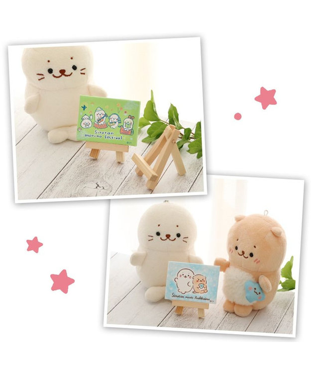 しろたん ミニキャンバス コレクション 10個全部セット（シークレット1