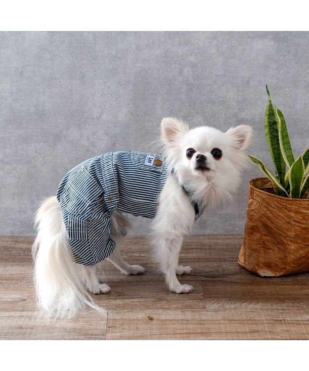 Lee ヒッコリー オーバーオール 小型犬 / PET PARADISE | 【通販】雑貨