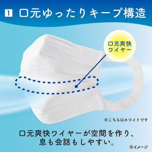 エリエール Zuttoムレ爽快 アイスブルー ふつう30枚 – エリエール