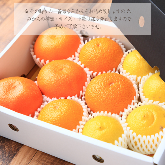 株式会社フレッシュつちやま / みかん 特撰ファミリーセット（黒