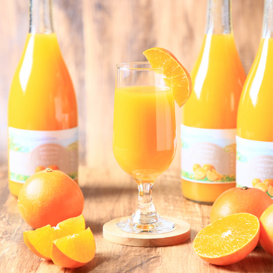 株式会社フレッシュつちやま / ジュース プリンセスまどんなジュース