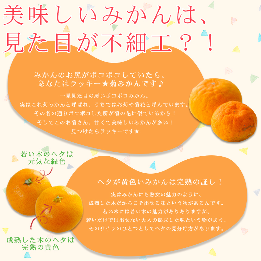 株式会社フレッシュつちやま / みかん ミカン 果物 フルーツ 柑橘 吉田