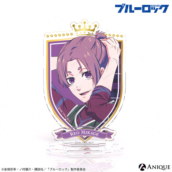 acst_7_0017_600x600_crop_cente