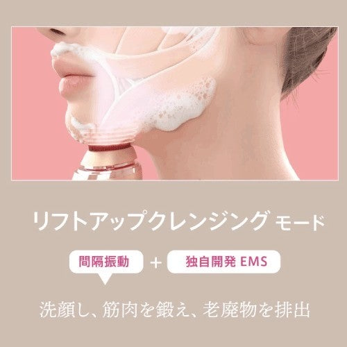 正規販売店】ZOGANKIN OVO（ゾーガンキン オーヴォ）通販｜Bay Shore