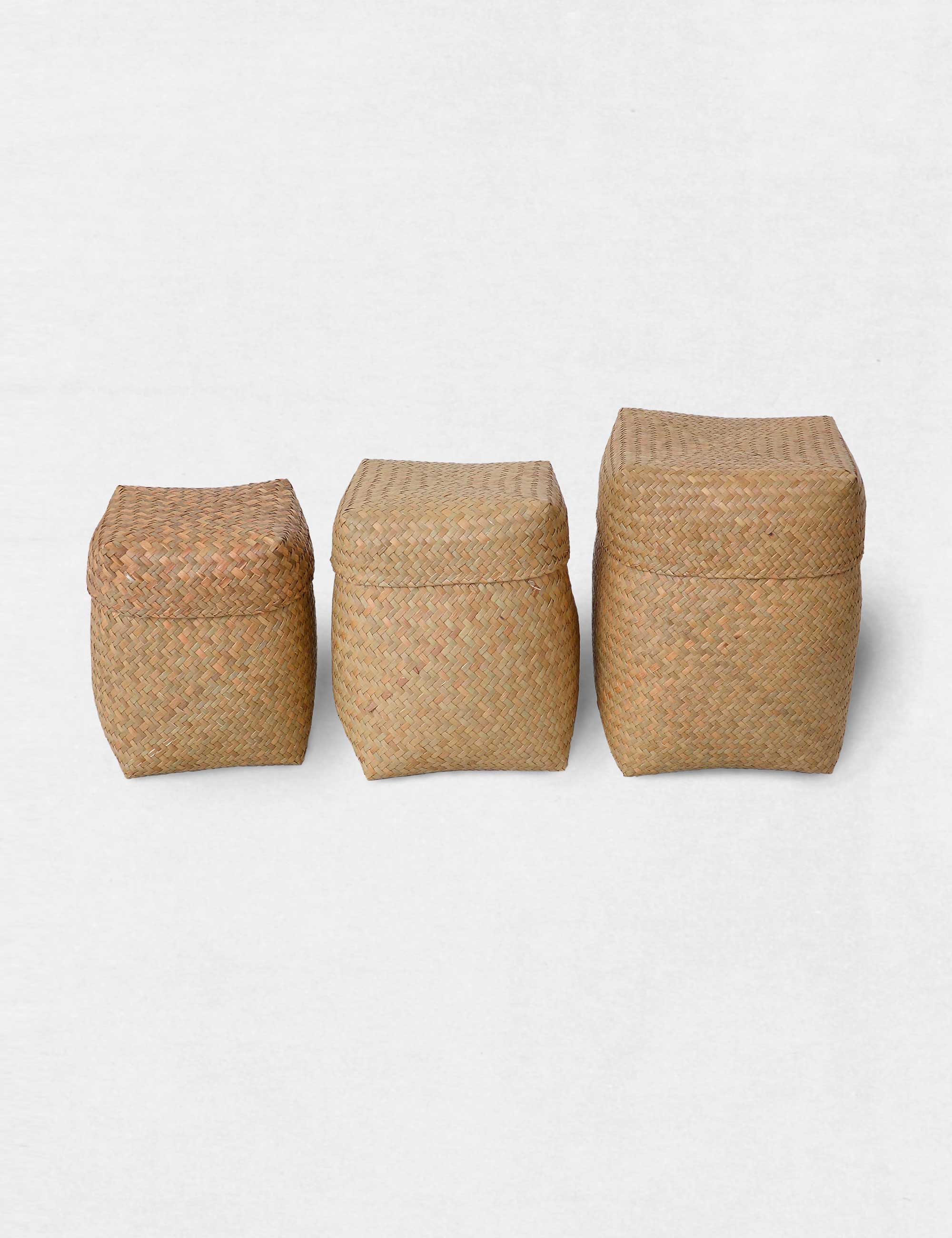 水草の蓋付きかご (M) / ババグーリ | ヨーガンレール ババグーリ