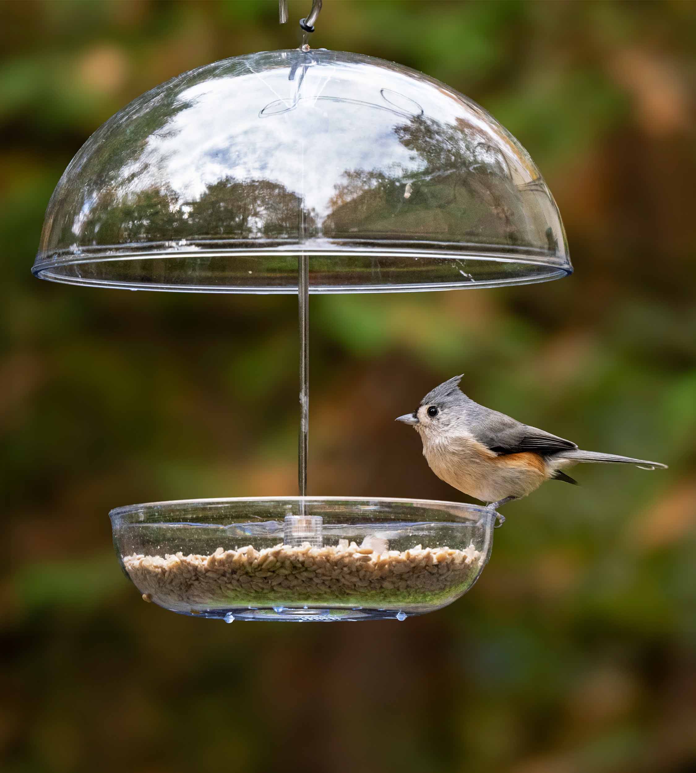 Jacobi Jayne® Pearl Feeder Orioles Cardinals & Blue Birds