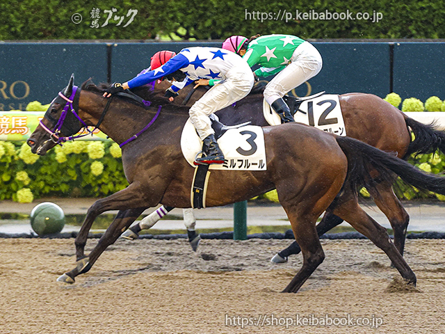 競馬ブックネットSHOP / カラーパネル