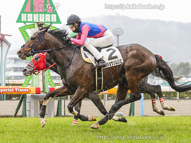 競馬ブックネットSHOP / カラープリント(アルミ枠付き)