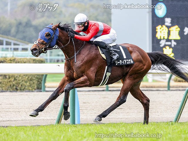 競馬ブックネットSHOP / カラーパネル