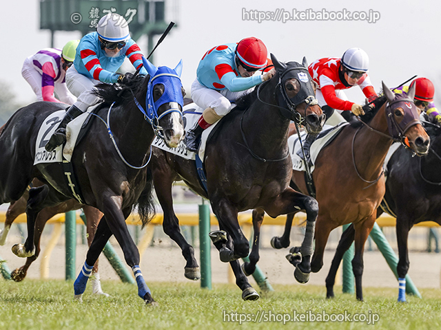 競馬ブックネットSHOP / カラーパネル