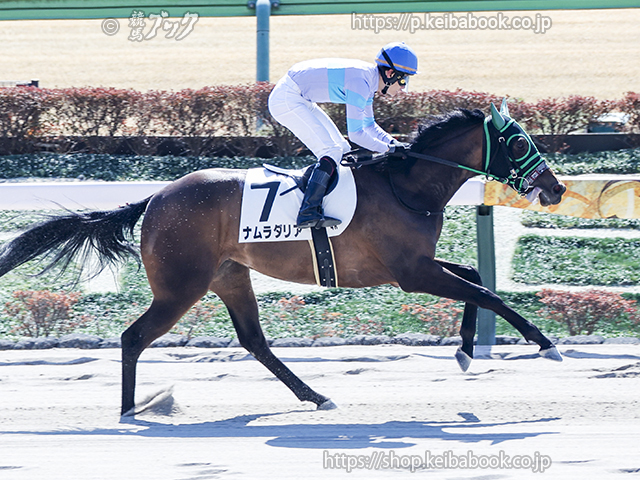 競馬ブックネットSHOP / カラーパネル