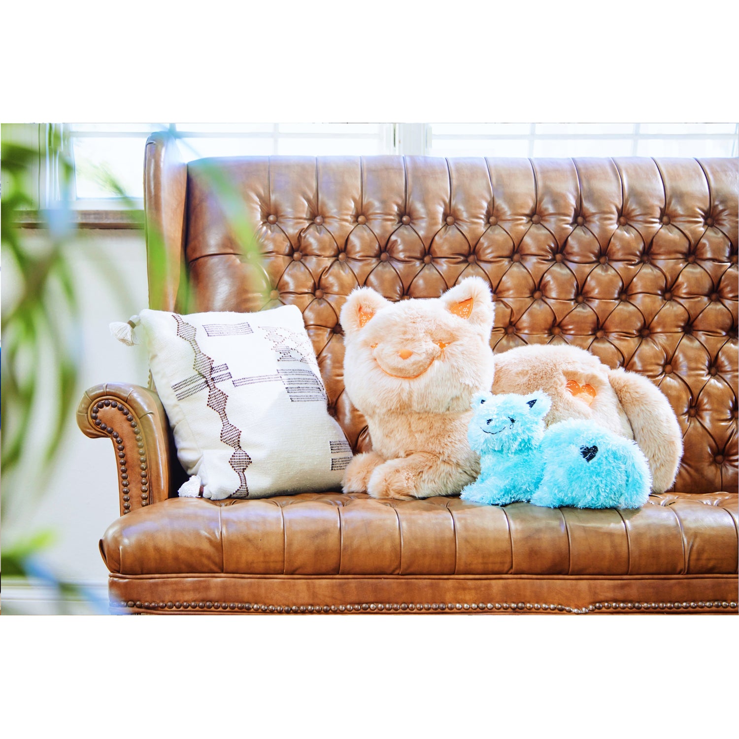 リイシューねこちゃん Grande / Terracotta – KENSHI YONEZU ONLINE STORE