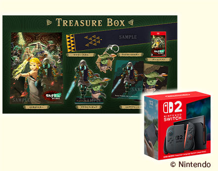 ゼルダ無双 封印戦記 予約特設サイト