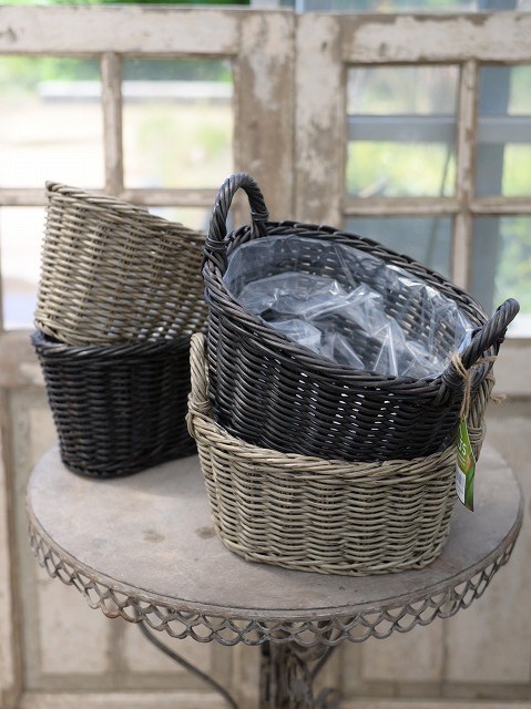 グリーンファームオンラインショップ｜花苗・球根・ガーデニング 商品