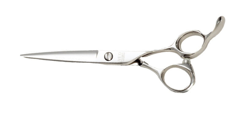 NEO COSMOS – HIKARI Corporation