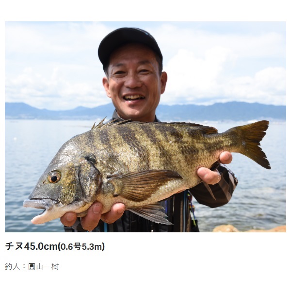 23がま磯 アテンダー3 | イシグロ公式オンラインショップ