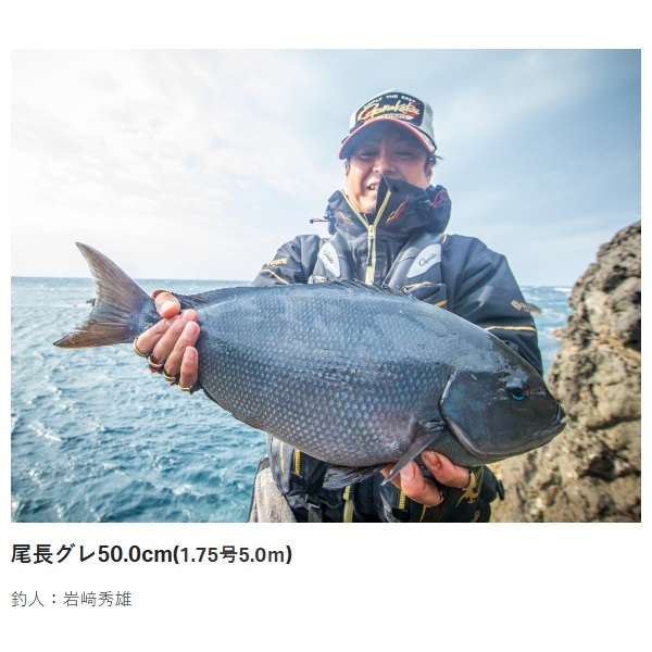 23がま磯 アテンダー3 | イシグロ公式オンラインショップ