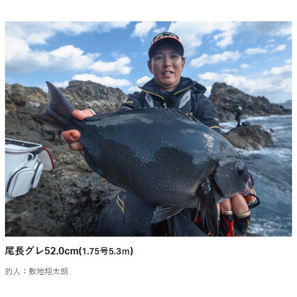 23がま磯 アテンダー3 | イシグロ公式オンラインショップ