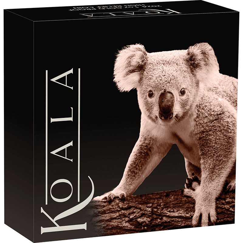 オーストラリア 2024年 コアラ 100ドル金貨 プルーフ(ハイレリーフ