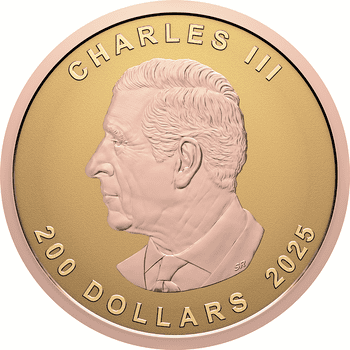 カナダ 2025年 メイプルリーフ 20ドル銀貨ローズゴールドメッキ付