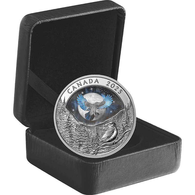 カナダ 2025年 ムーンスカイ ワタリガラス 20ドル銀貨ホログラム付