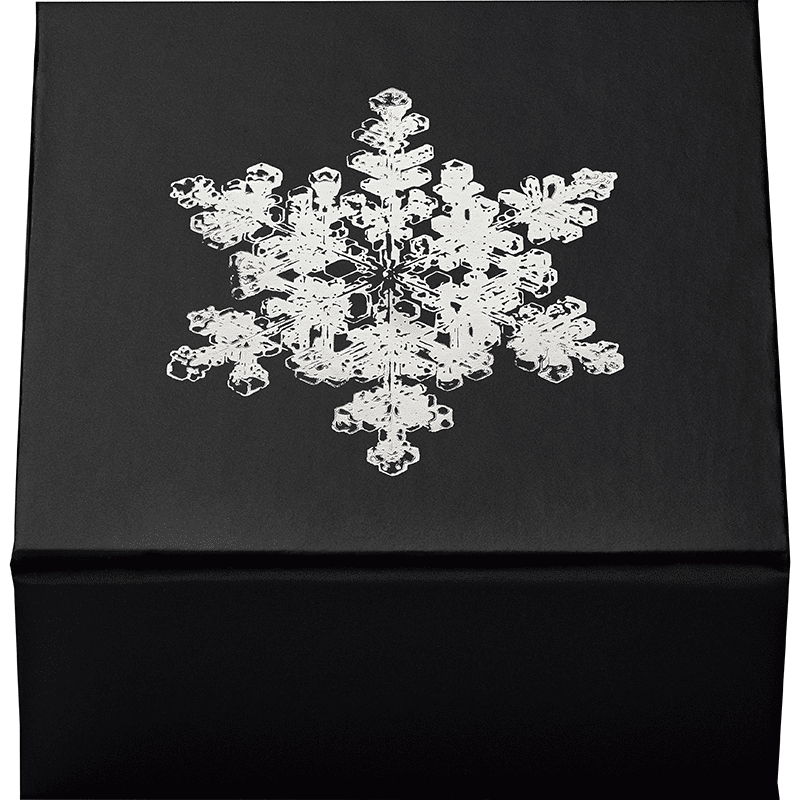 カナダ 2025年 雪の結晶 20ドル銀貨クリスタル付 リバースプルーフ