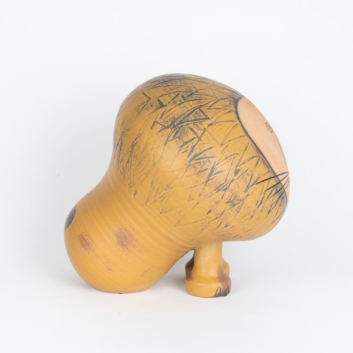 ライオン マキシ No.29