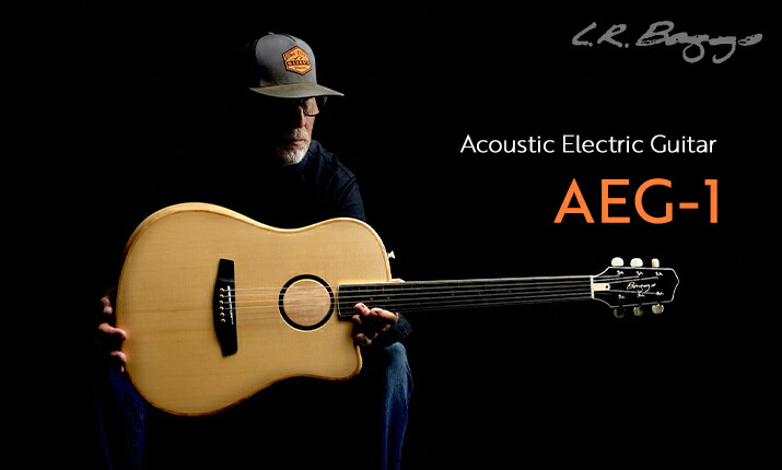 楽天市場】【送料無料】ARC EFFECTS 《アーク・エフェクツ》 KLONE V3