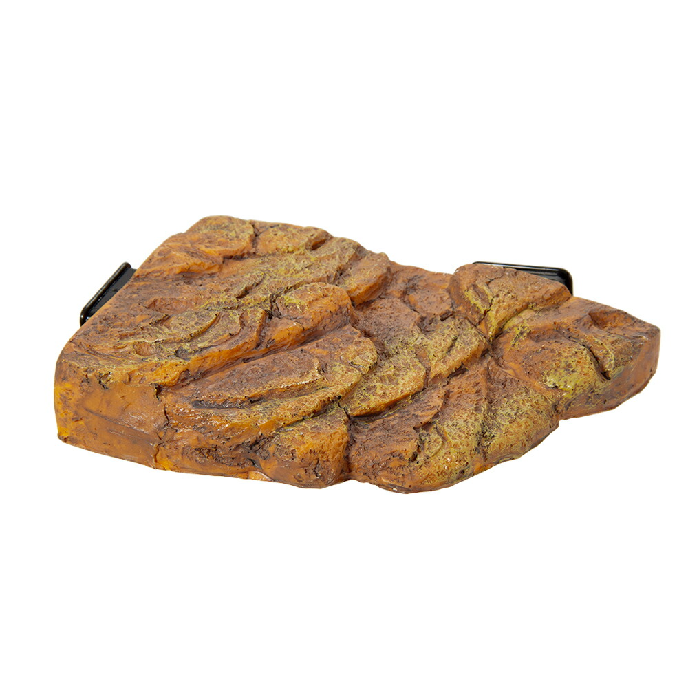 楽天市場】GEX カメ元気 カメの島 M−1 ジェックス 関東当日便