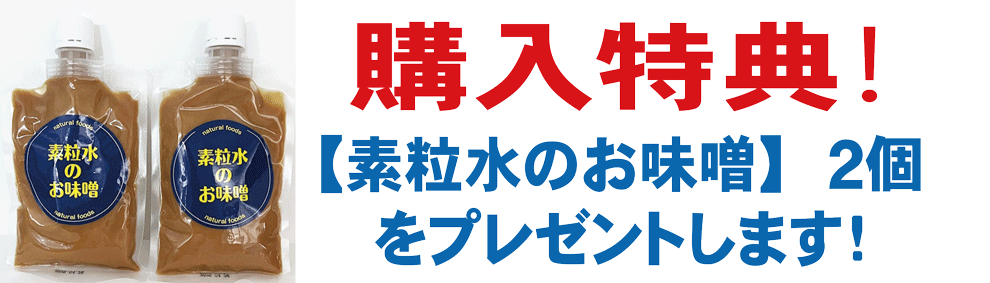 楽天市場】【特典付き】◇ 素粒水 を創る 浄水器 ・ワンウォーターECO