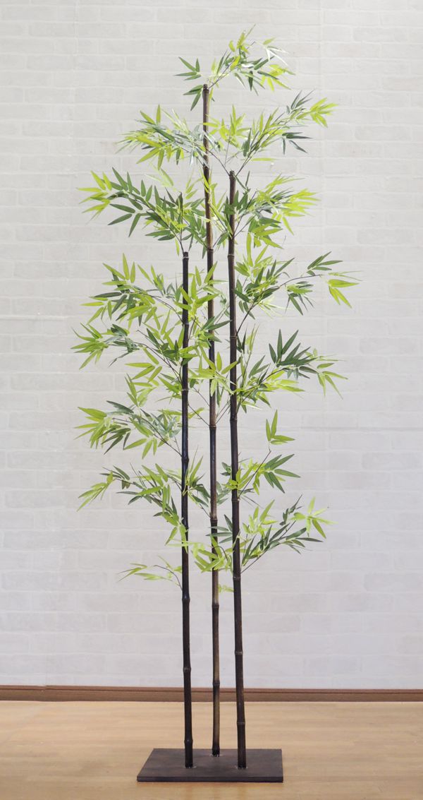 楽天市場】黒竹 180cm3本立 (人工竹 くろちく 人気 造花 インテリア