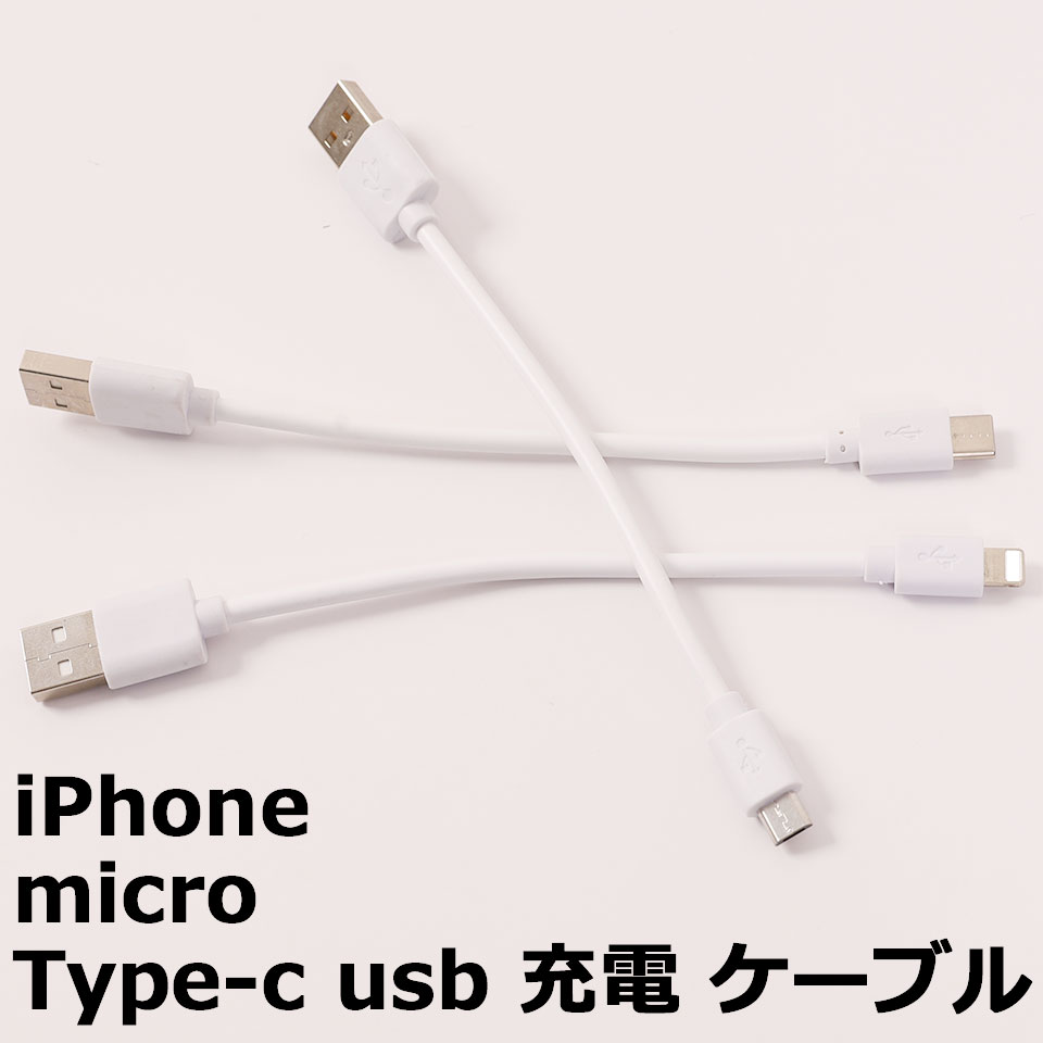 楽天市場】【2本セット】iPhone 13/13 Pro/13 Pro Max USB 充電
