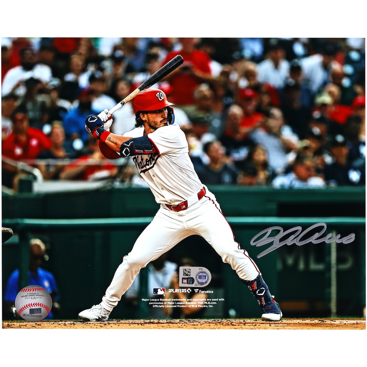 楽天市場】【MLB公式ホログラム付】MLB パドレス フェルナンド