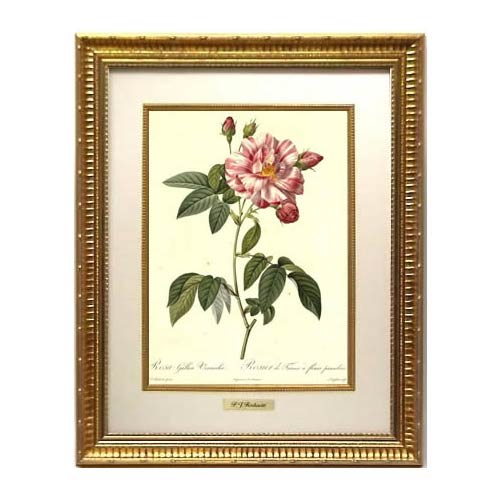 楽天市場】絵画 インテリア ルドゥーテ 絵額 複製画 受注生産 『 レ