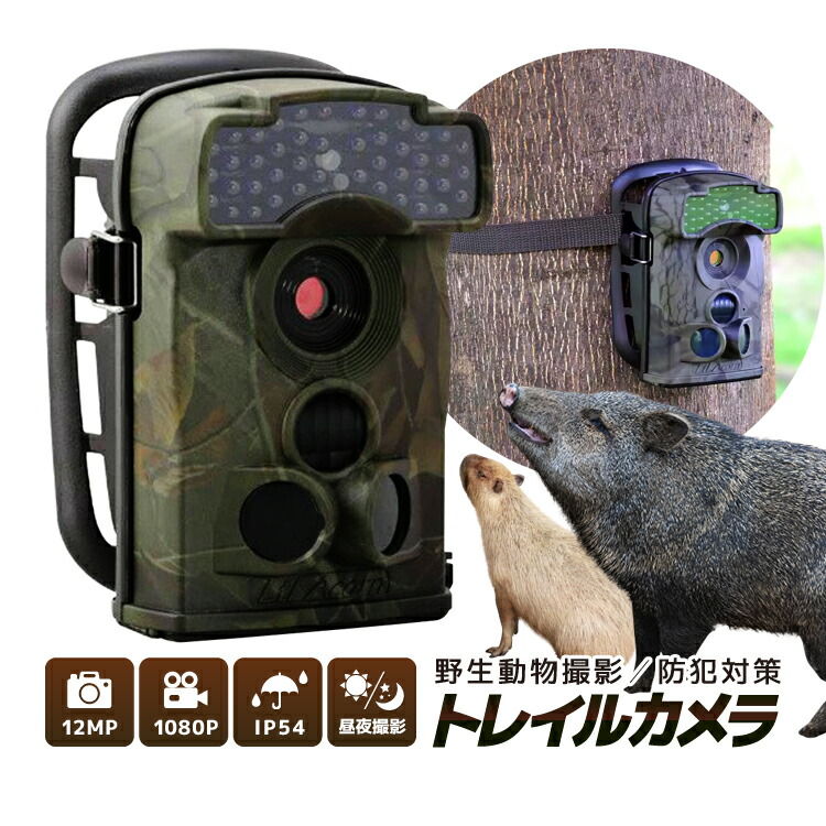 楽天市場】KJK トレイルカメラ 野生動物監視カメラ 小型防犯カメラ 単