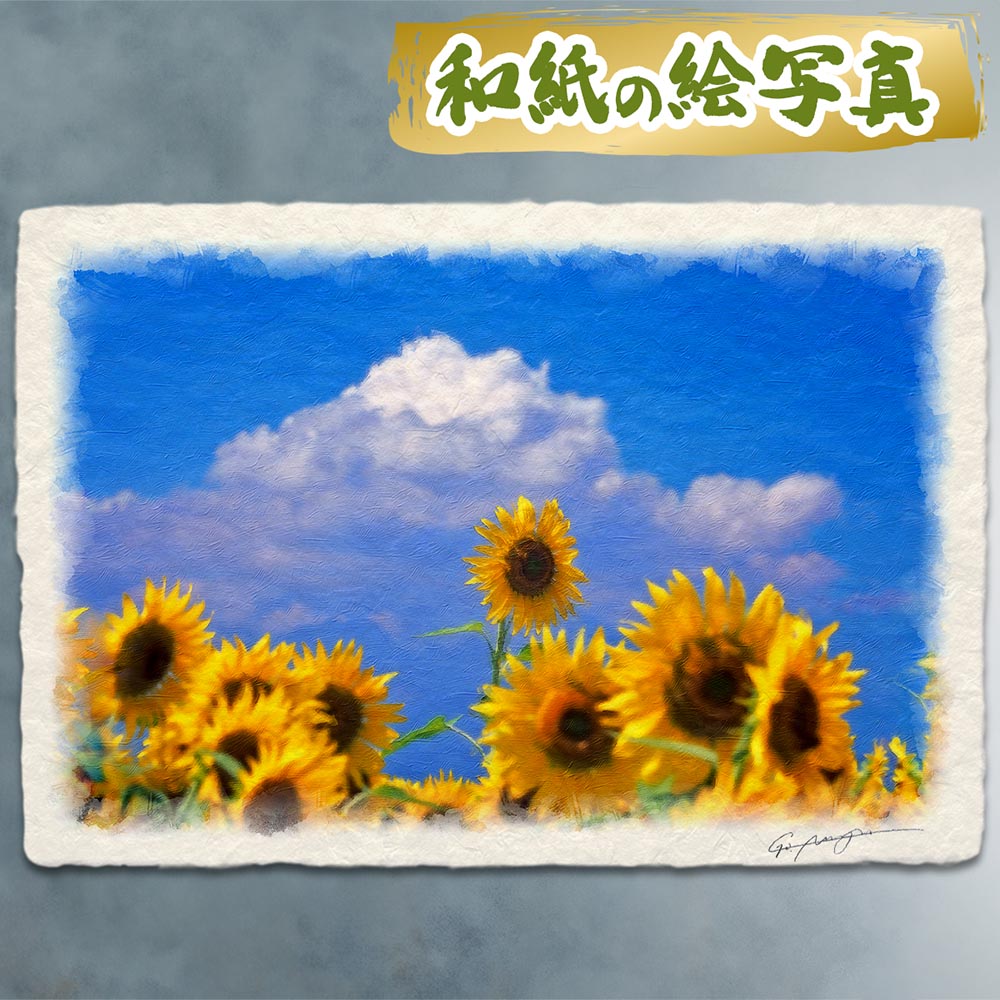 楽天市場】【インチサイズ】風水版画 DPHM 金運 ひまわり吉岡浩太郎