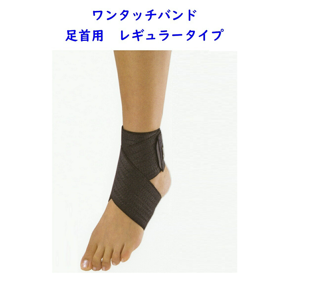 楽天市場】ワンタッチバンド 足首用レギュラータイプ 〔サイズL