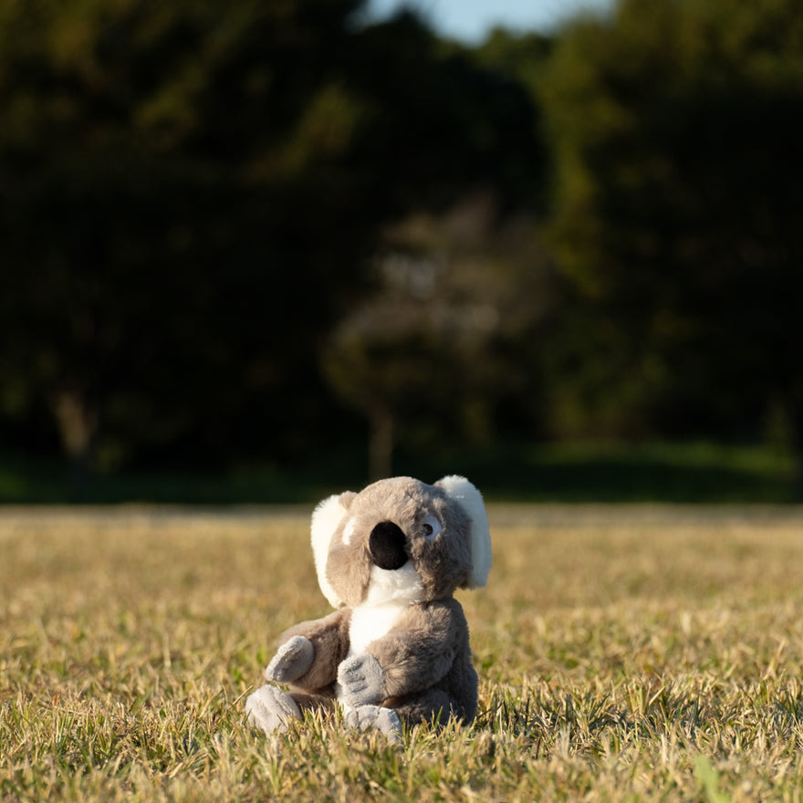 エコキンズ コアラ 8