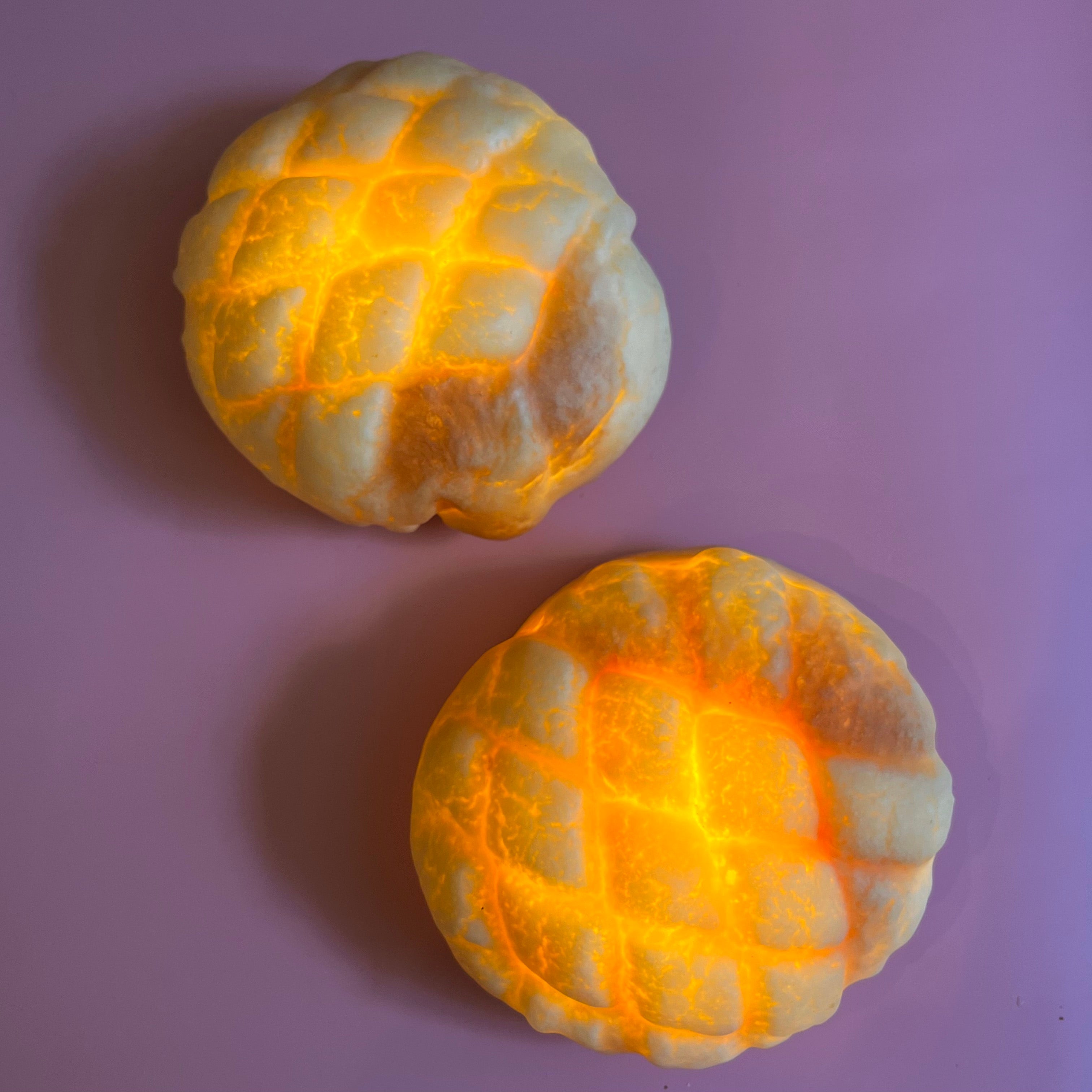 Pampshade x AID = Pamp-AID | PAMPSHADE – Yukiko Morita PAMPSHADE