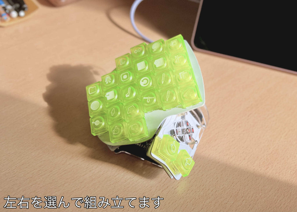 委託】Killer Whale