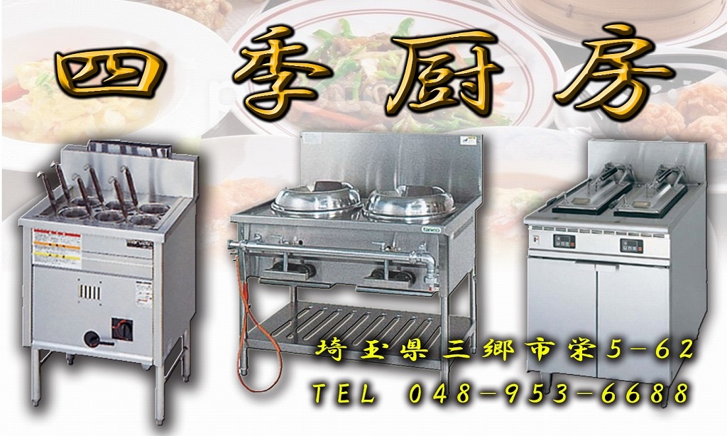 ビッグアイスメーカー 全自動製氷機 ホシザキ LM-250M-1 15年 | 中古