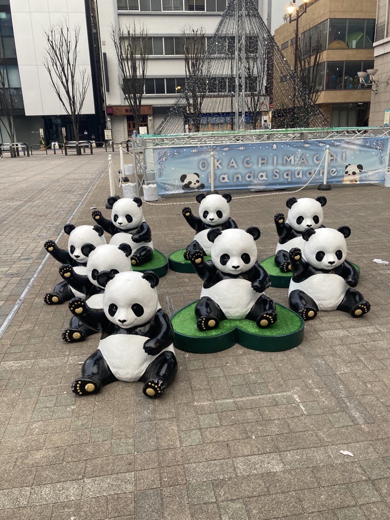 ほぼまいにちパンダ | 上野が、すき。