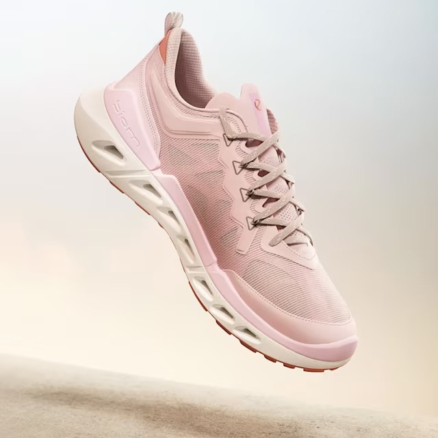 💫 👑 ⛳️ 新色 New Collection AW25 〈エコー〉《 ECCO GOLF BIOM C4