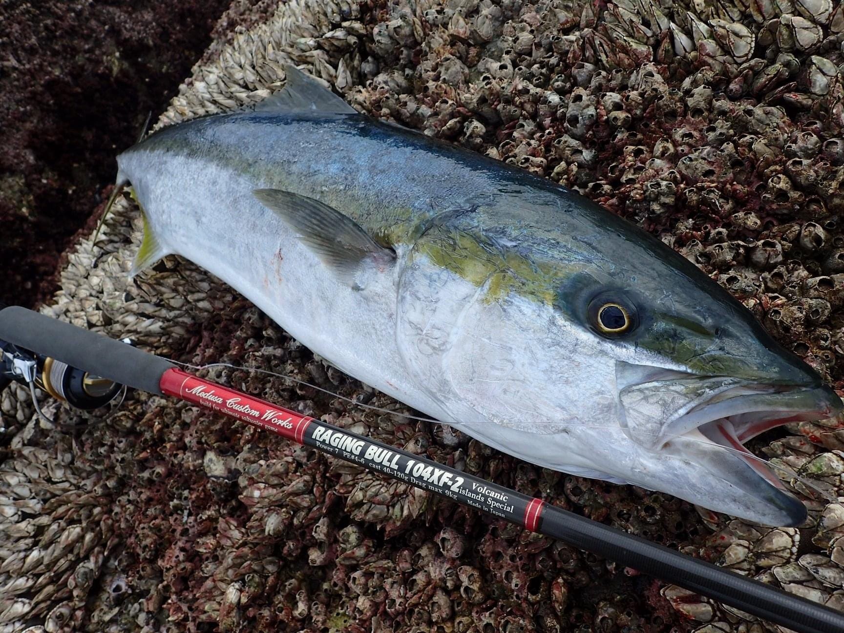 MC WORKS RAGING BULL 104XF-2 SHORE CASTING ROD