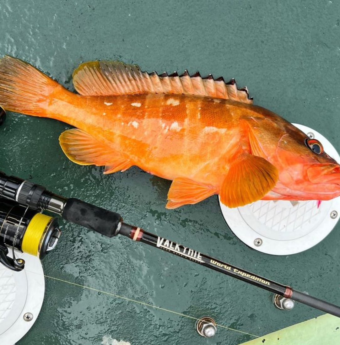 MEGABASS Valkyrie World Expedition VKS-610ML-4