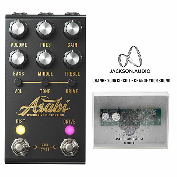 Jackson Audio ASABI OD DIST MATEUS ASATO SIG【宛伶樂器】