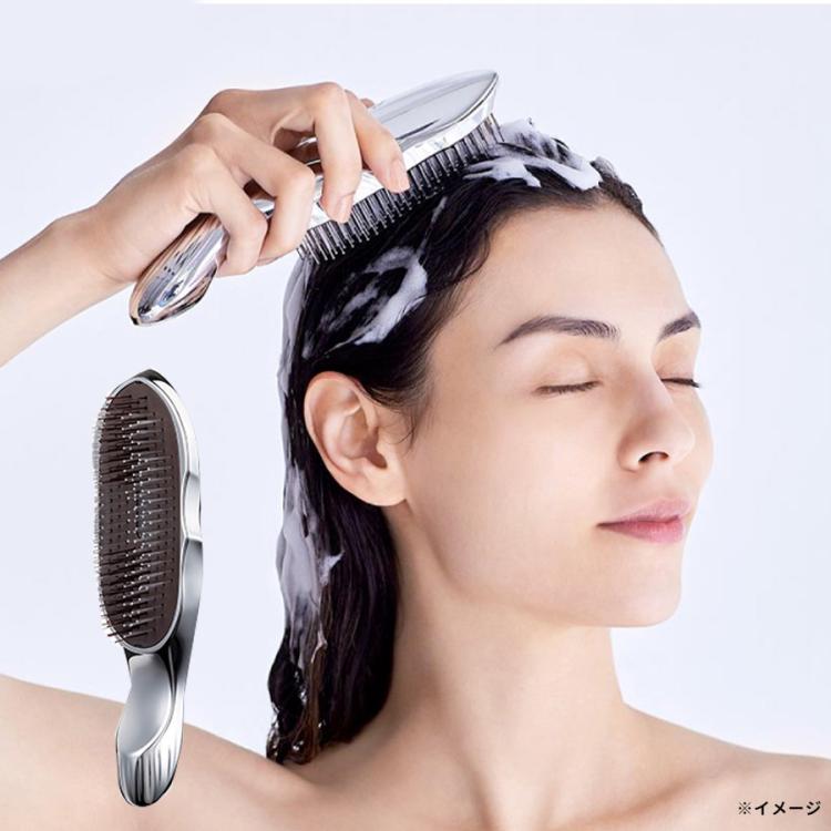 送料無料】ReFa ION CARE BRUSH（リファイオンケアブラシ） | TBS