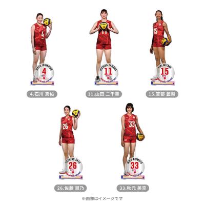 世界バレー | TBSショッピング