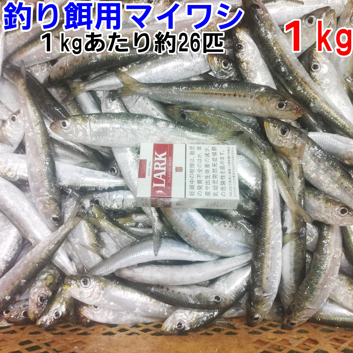 冷凍餌 マイワシ 中サイズ 10kg【1kgずつ小分け】 1kgあたり約26匹