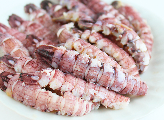 しゃこ 蝦蛄 春季限定 殻付き煮シャコ ガサエビ がさえび : 青森めぇー